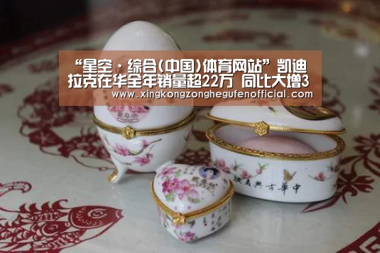 “星空·综合(中国)体育网站”凯迪拉克在华全年销量超22万 同比大增31.8%(图2) 星空·综合体育中国