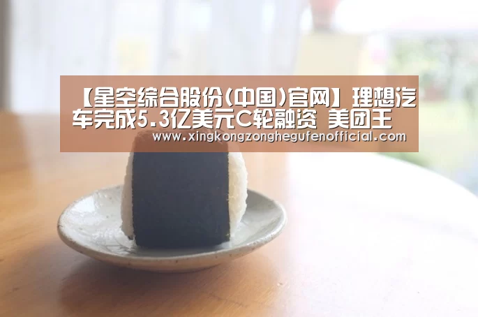 【星空综合股份(中国)官网】理想汽车完成5.3亿美元C轮融资 美团王兴领投