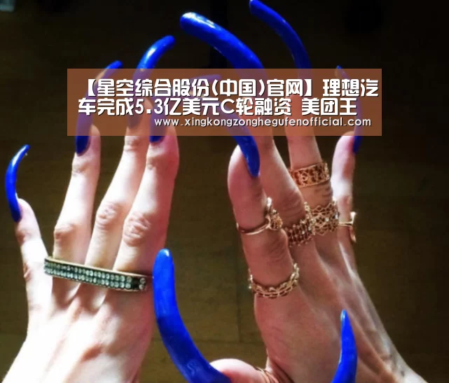 【星空综合股份(中国)官网】理想汽车完成5.3亿美元C轮融资 美团王兴领投(图2) 星空综合股份(中国)官网