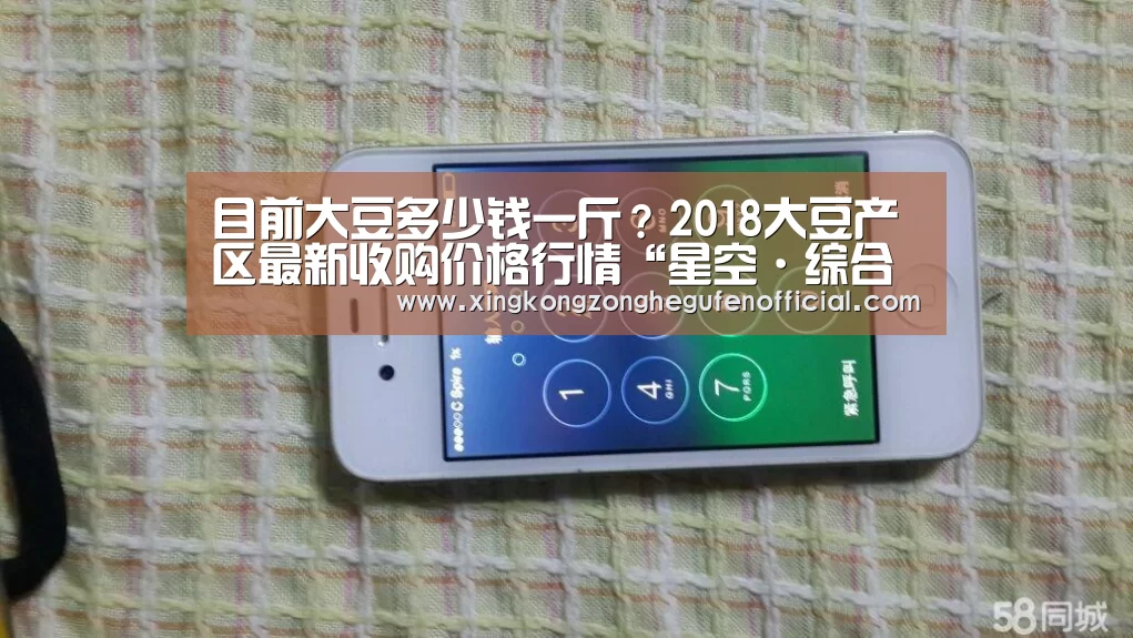 目前大豆多少钱一斤？2018大豆产区最新收购价格行情“星空·综合体育中国”