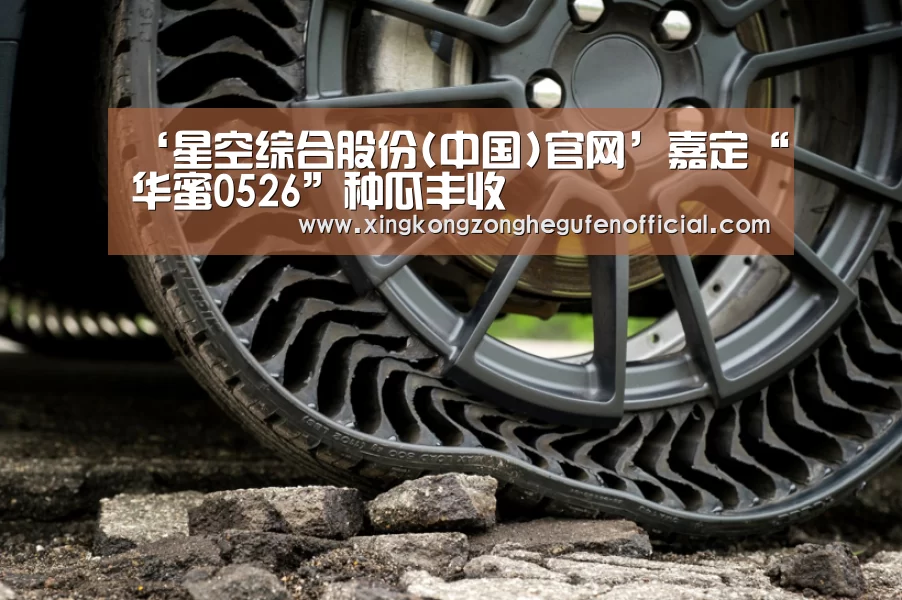 ‘星空综合股份(中国)官网’嘉定“华蜜0526”种瓜丰收(图1) 星空·综合体育中国