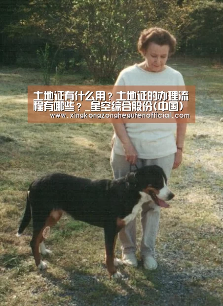 土地证有什么用?土地证的办理流程有哪些?_星空综合股份(中国)(图2) 星空·综合体育中国