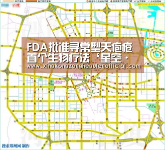 FDA批准寻常型天疱疮首个生物疗法‘星空·综合(中国)体育网站’(图1) 星空综合股份(中国)