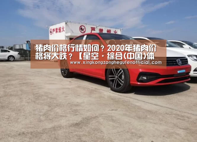 星空综合股份(中国)