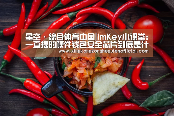 星空·综合体育中国|imKey小课堂:一直提的硬件钱包安全芯片到底是什么呢?(图1) 星空·综合(中国)体育网站