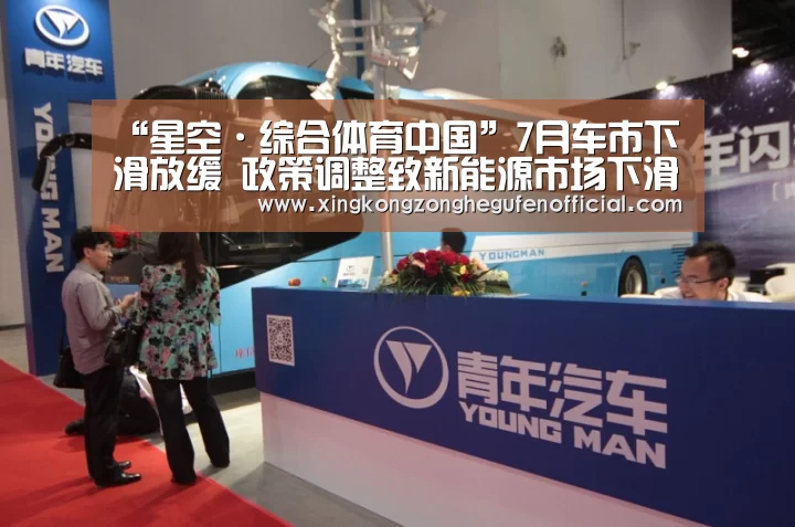 “星空·综合体育中国”7月车市下滑放缓 政策调整致新能源市场下滑(图1) 星空·综合(中国)体育网站
