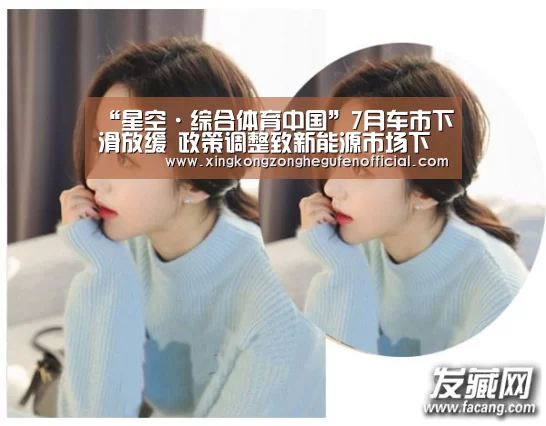 “星空·综合体育中国”7月车市下滑放缓 政策调整致新能源市场下滑(图2) 星空综合股份(中国)