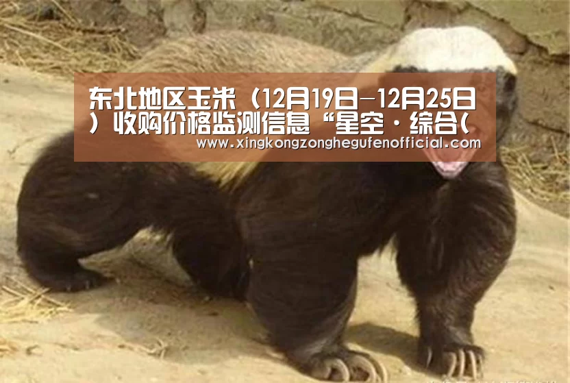 东北地区玉米(12月19日-12月25日)收购价格监测信息“星空·综合(中国)体育网站”(图3) 星空·综合(中国)体育网站