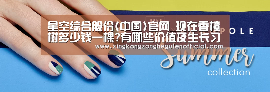 星空综合股份(中国)官网_现在香樟树多少钱一棵?有哪些价值及生长习性?(图1) 星空·综合(中国)体育网站