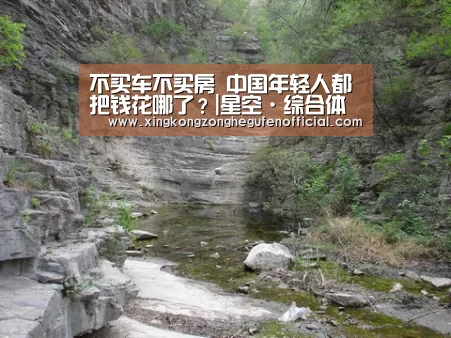 不买车不买房 中国年轻人都把钱花哪了?|星空·综合体育中国(图1) 星空综合股份(中国)官网