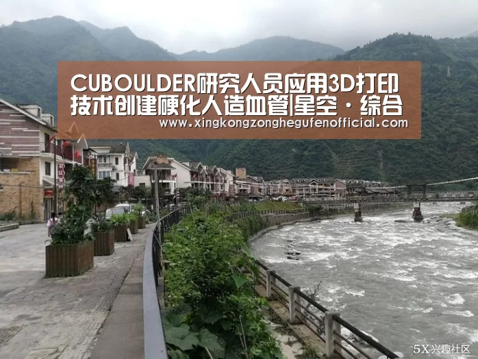 CUBOULDER研究人员应用3D打印技术创建硬化人造血管|星空·综合(中国)体育网站(图2) 星空综合股份(中国)官网