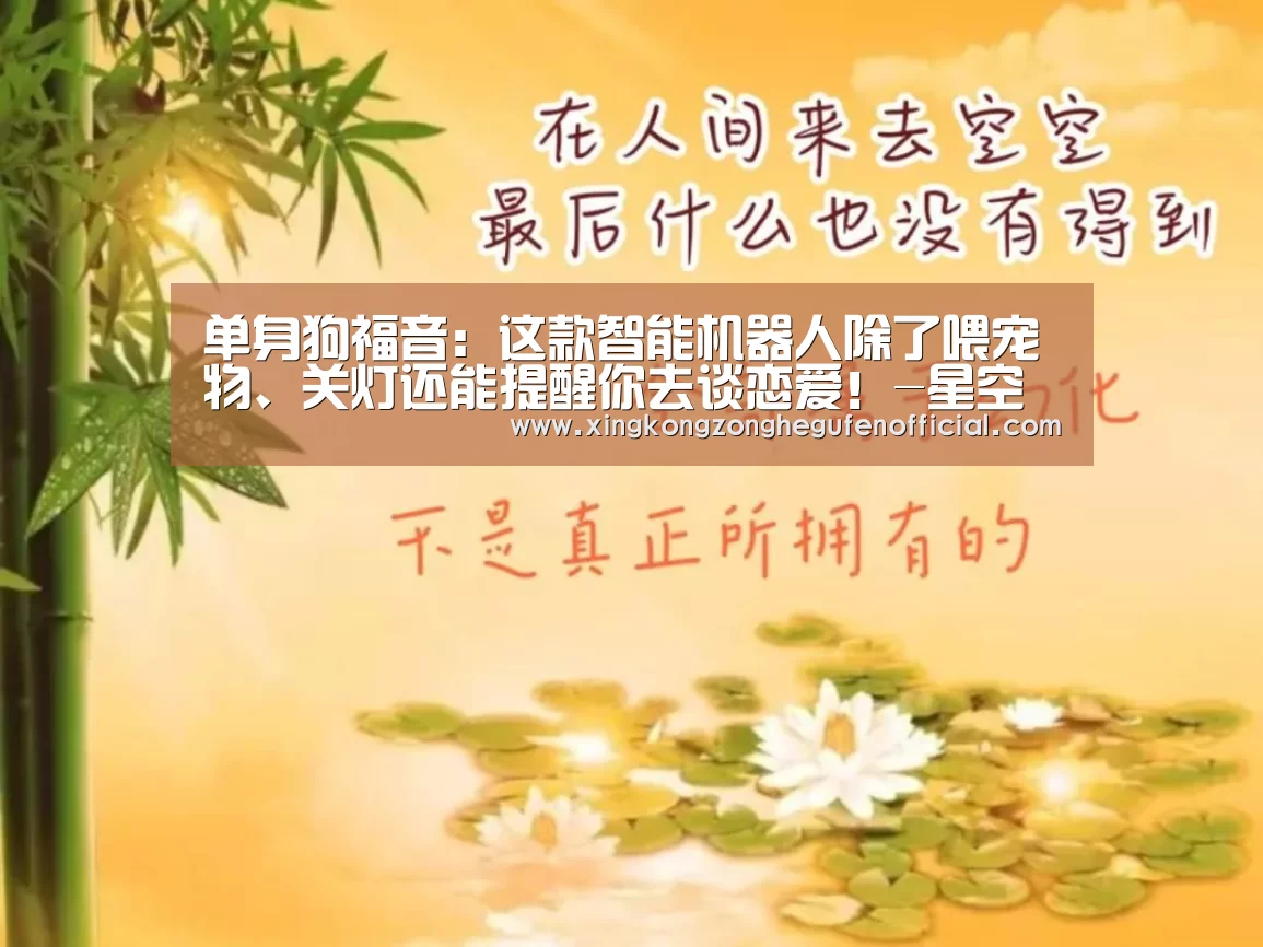 星空综合股份(中国)